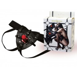 Трусики с кольцом и плагом в коробке Трусики с кольцом и плагом в коробке