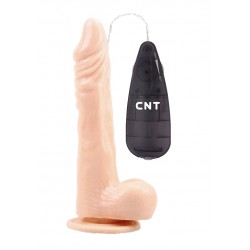 Вибратор CNT 8.5'' Vibrating Beginner Dildo CNT-180081F Вибратор CNT 8.5'' Vibrating Beginner Dildo CNT-180081F