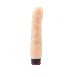 Вибратор CNT 8'' Vibrating Dilido CNT-180039F Вибратор CNT 8'' Vibrating Dilido CNT-180039F