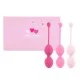 Набор из 3 розовых вагинальных шариков FemmeFit Advanced Pelvic Muscle Training Set FLZ-E27895 Набор из 3 розовых вагинальных шариков FemmeFit Advanced Pelvic Muscle Training Set FLZ-E27895