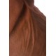 Реалистичный фаллоимитатор TOYFA RealStick Elite Mulatto, коричневый, 16 см