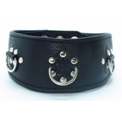 Чёрный кожаный ошейник с полукольцами и клёпками Чёрный кожаный ошейник с полукольцами и клёпками