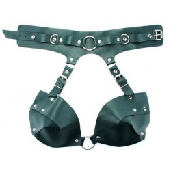 Изумрудная сбруя из ошейника с лифом Emerald Harness Изумрудная сбруя из ошейника с лифом Emerald Harness