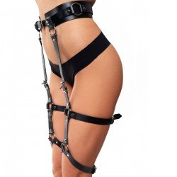 Гартеры Гартеры