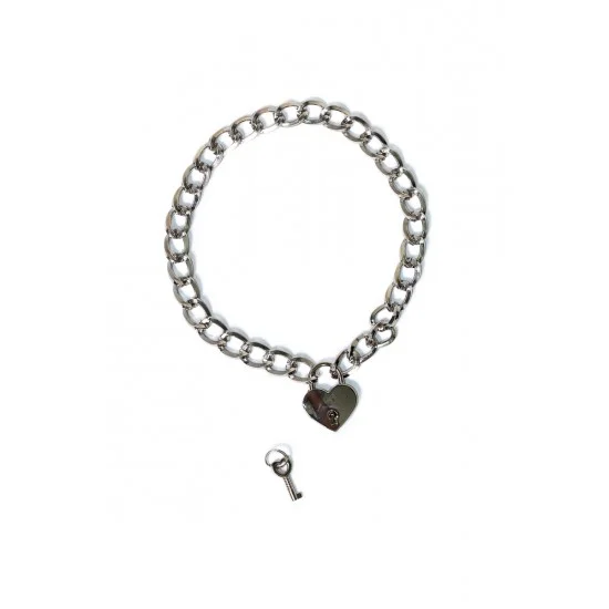 Серебристый ошейник Embrace с ключиком 1093-01lola Серебристый ошейник Embrace с ключиком 1093-01lola
