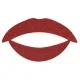 Lip Tattoo Красный блеск EF-LT05