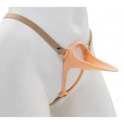 Эректор с фиксацией Эректор с фиксацией