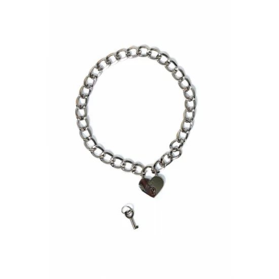Серебристый ошейник Embrace с ключиком 1093-01lola Серебристый ошейник Embrace с ключиком 1093-01lola