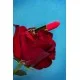 Минивибратор Flovetta by Toyfa PANSIES, ABS пластик, черный, 9 см 457705